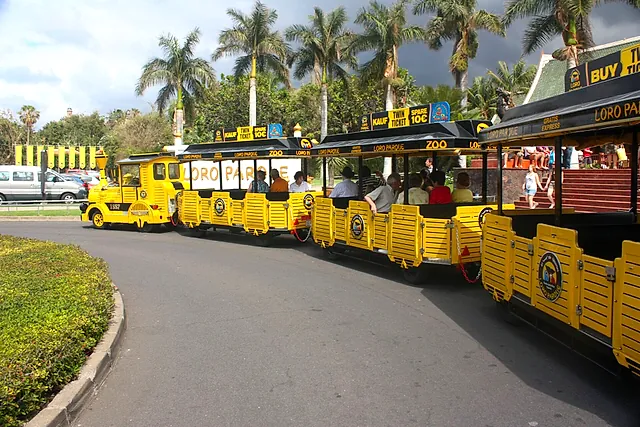 Il trenino turistico giallo che porta a Loro Parque lungo una strada con palme